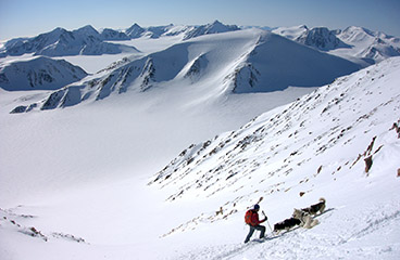 tours-svalbard-skiing
